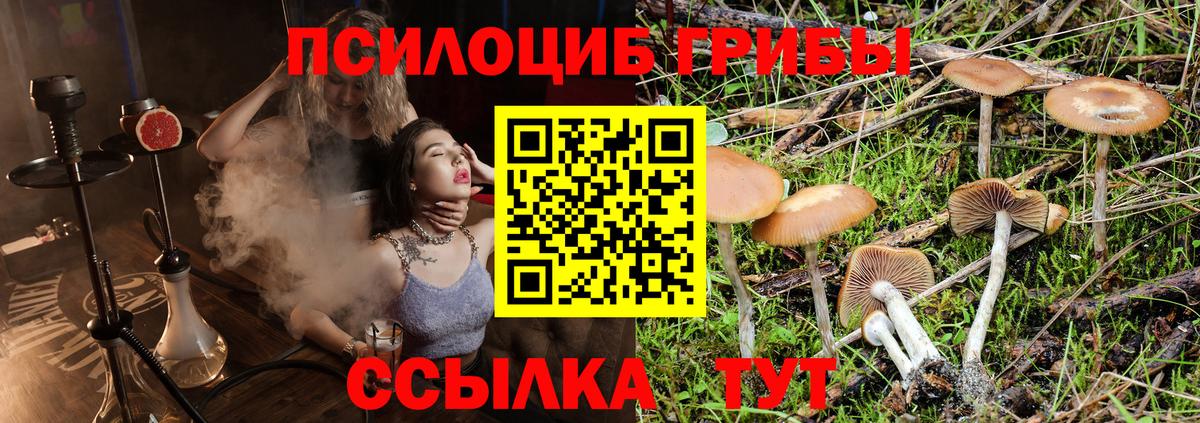 Ейск  Галлюциногенные грибы мухоморы  Вход с VPN 